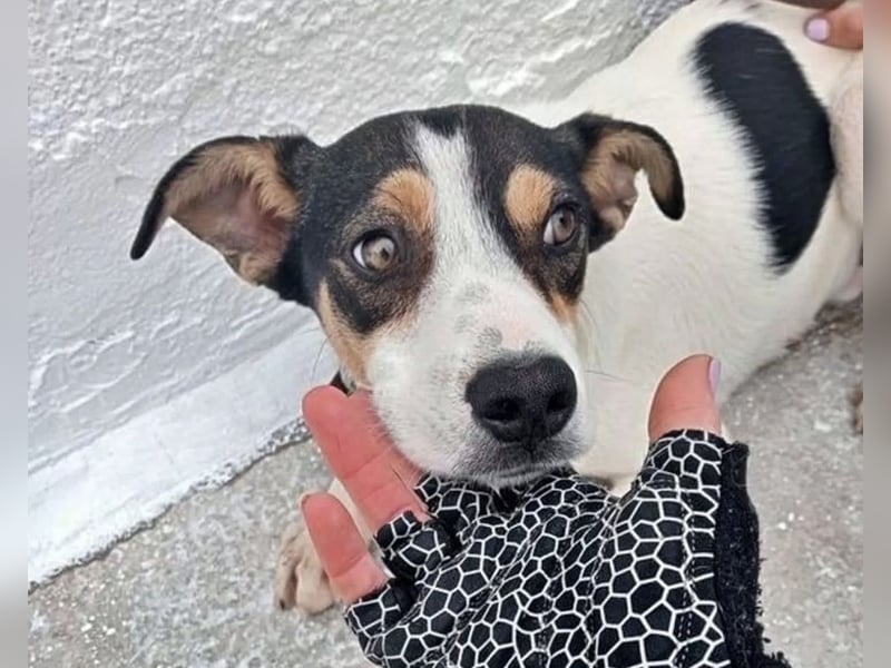 Aiko, hofft endlich gesehen zu werden