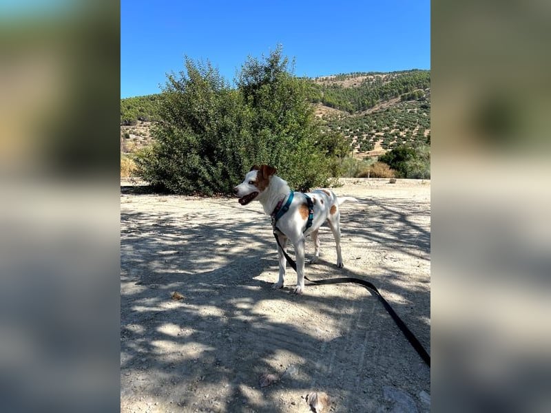 Rodri, ein wunderbarer Kumpel