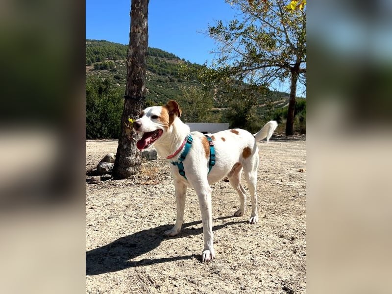 Rodri, ein wunderbarer Kumpel