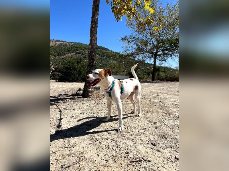 Rodri, ein wunderbarer Kumpel