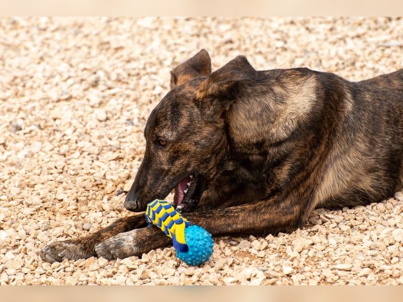 Hoku möchte dein Herz erobern