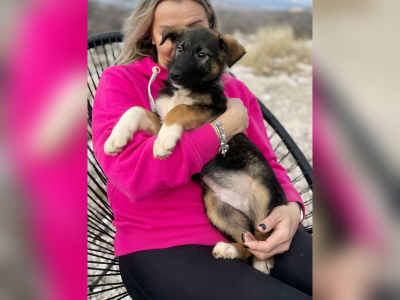 Buddie auf der Suche nach Glück