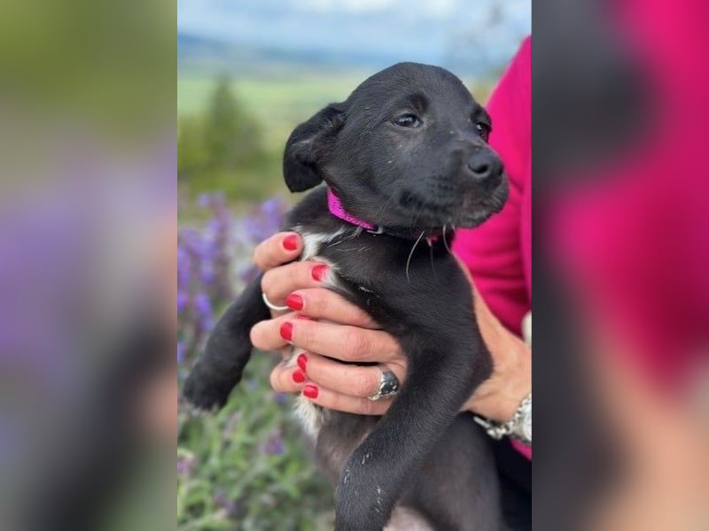 Maria – eine Freundin fürs Leben