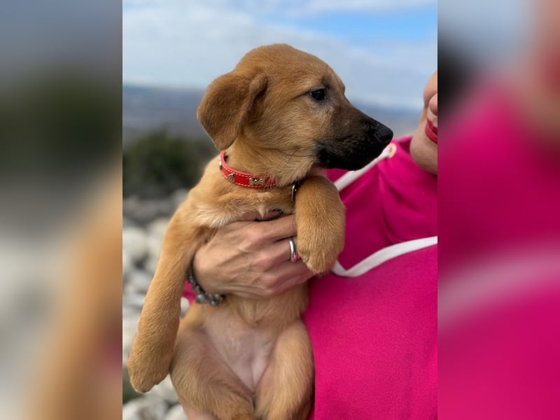 Cocco auf der Suche nach dem Glück