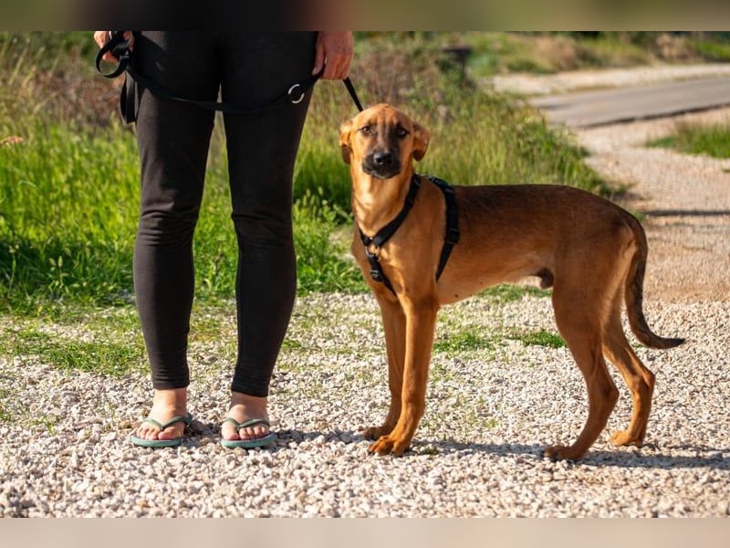 Fridtjof – ein Freund fürs Leben