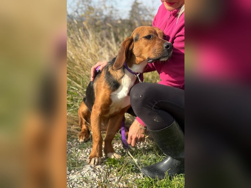 Süße Magda sucht Kuschelpartner/-in