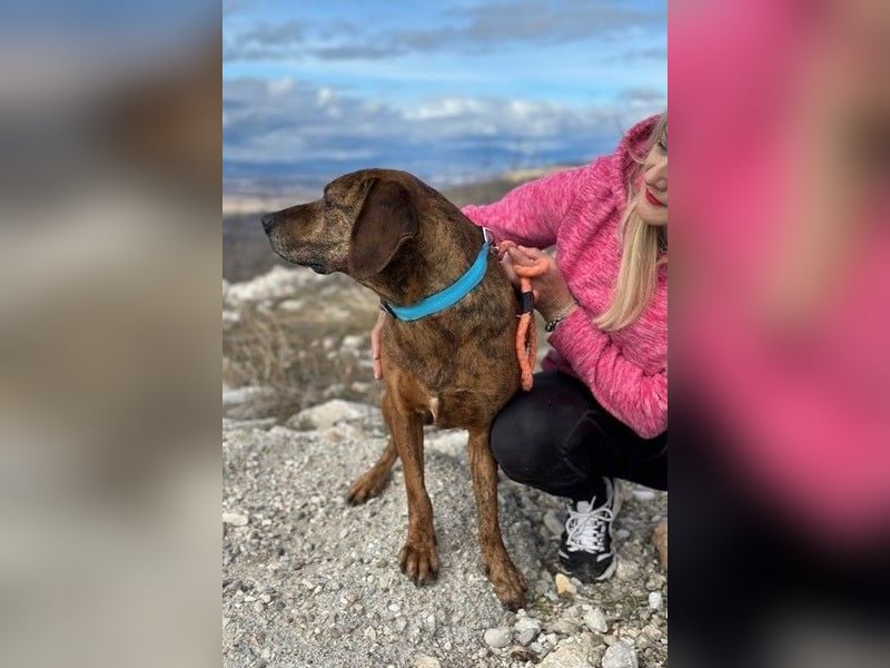 Lebensfroher Thanos sucht seinen Jackpot!