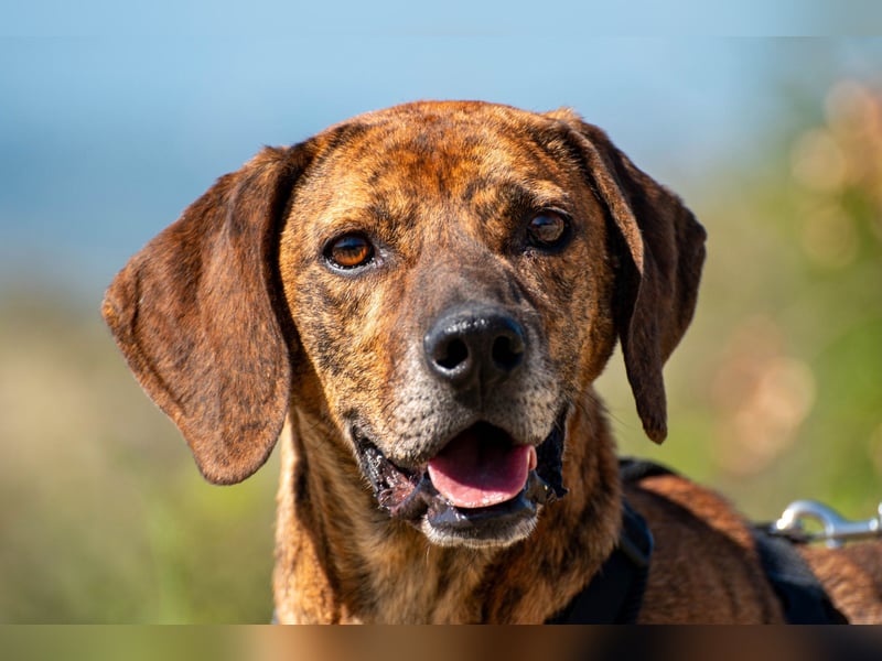 Lebensfroher Thanos sucht seinen Jackpot!