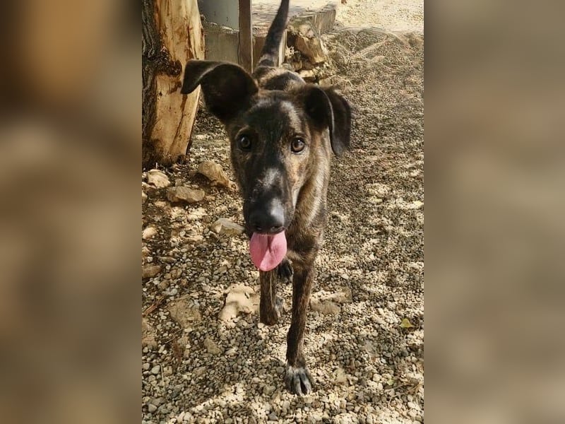 Hoku möchte dein Herz erobern