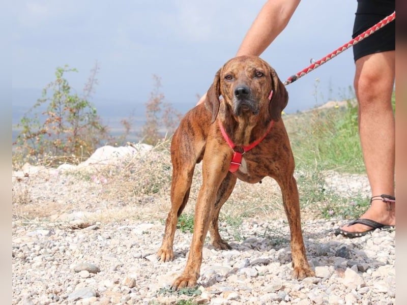 Lebensfroher Thanos sucht seinen Jackpot!