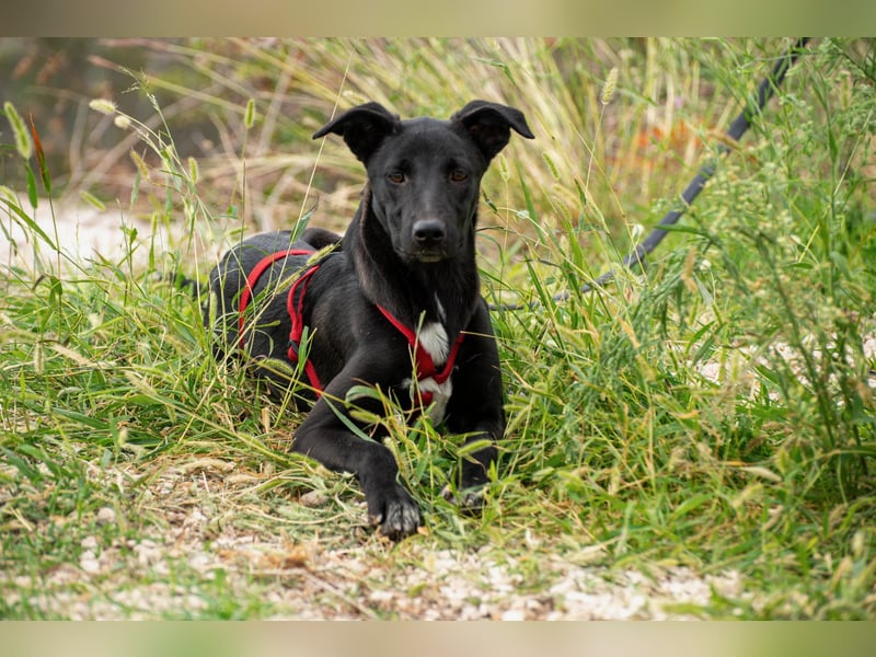 Maria – eine Freundin fürs Leben
