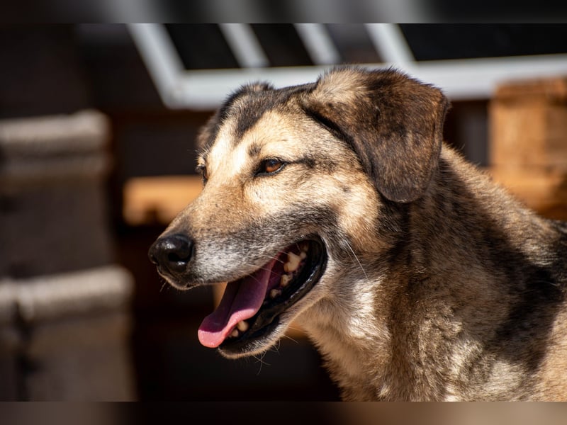 Theo sucht seine Menschen
