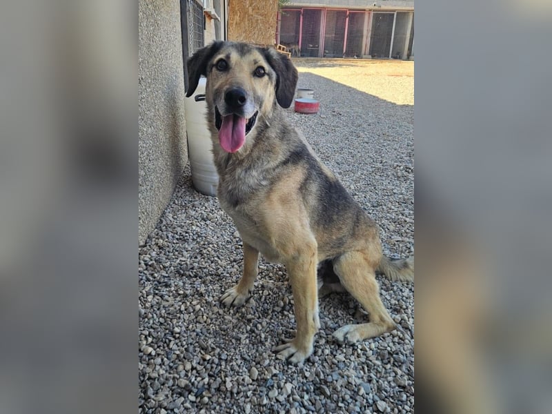 Theo sucht seine Menschen