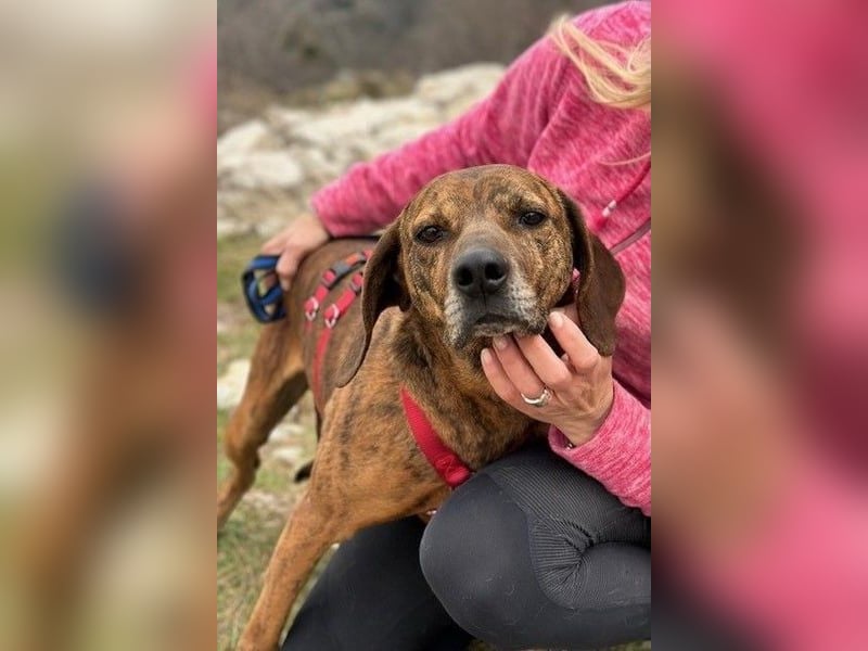 Lebensfroher Thanos sucht seinen Jackpot!