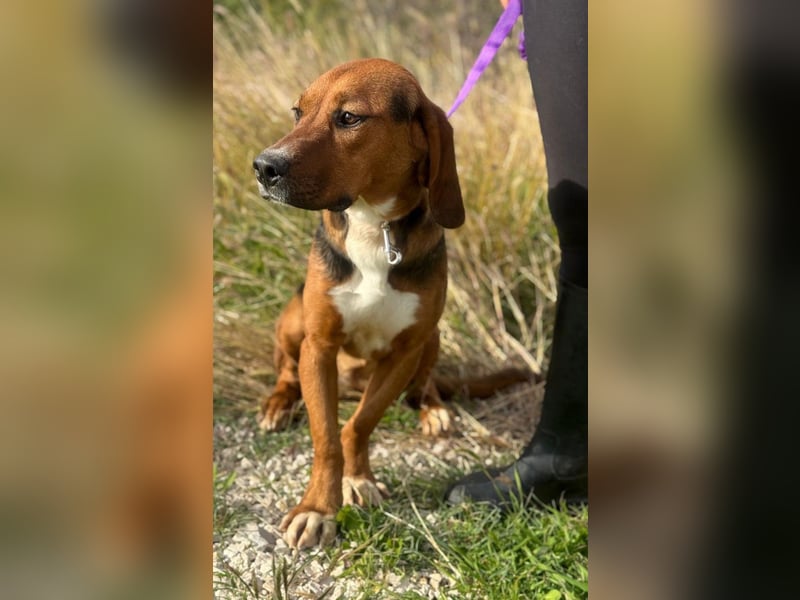 Süße Magda sucht Kuschelpartner/-in