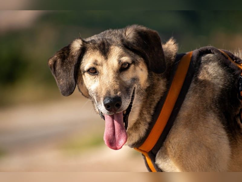 Theo sucht seine Menschen