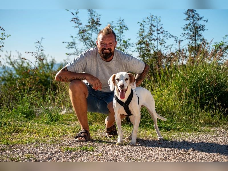 Dauergast Dino sucht Menschen mit Herz