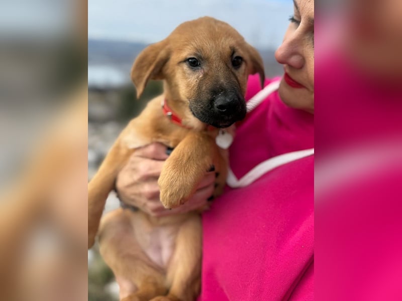 Cocco auf der Suche nach dem Glück
