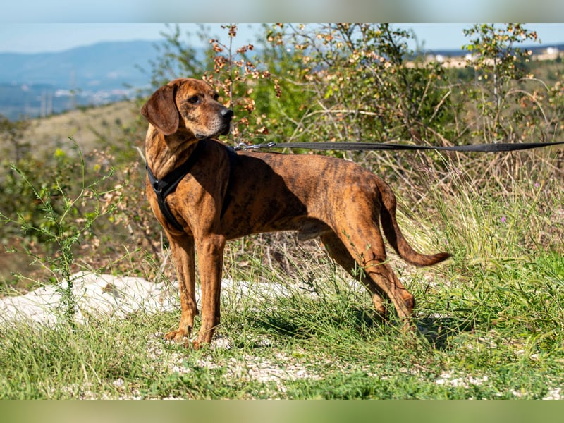 Lebensfroher Thanos sucht seinen Jackpot!