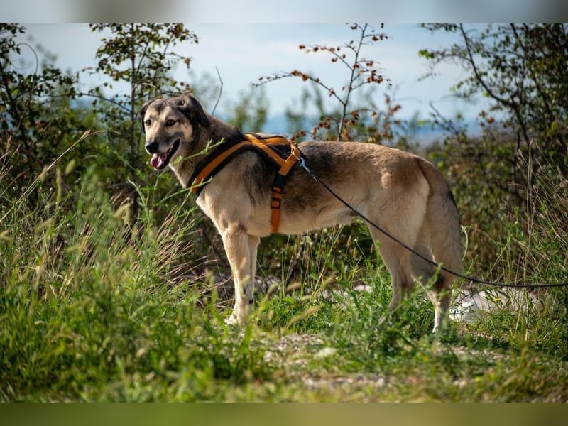 Theo sucht seine Menschen