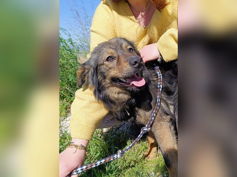 Tomtom wünscht sich viele Leckerlies