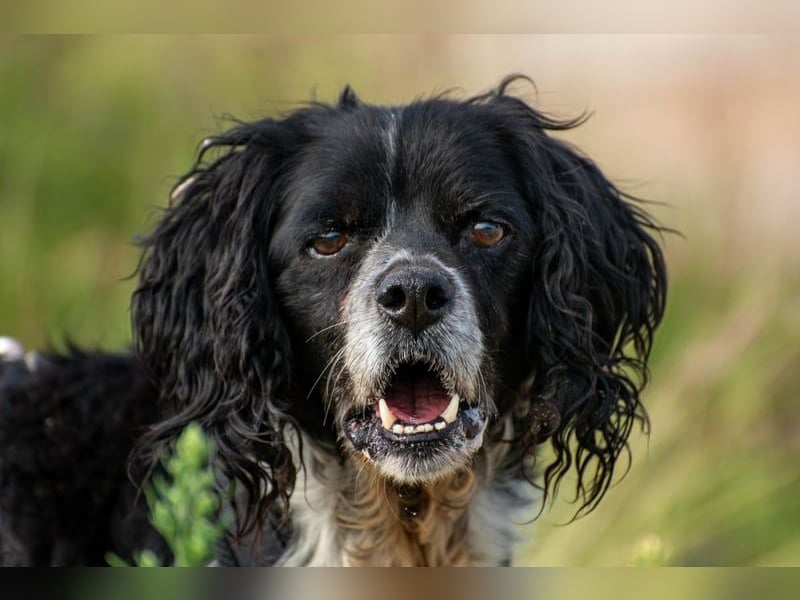 Dina sucht Partner für letzten Lebensabschnitt