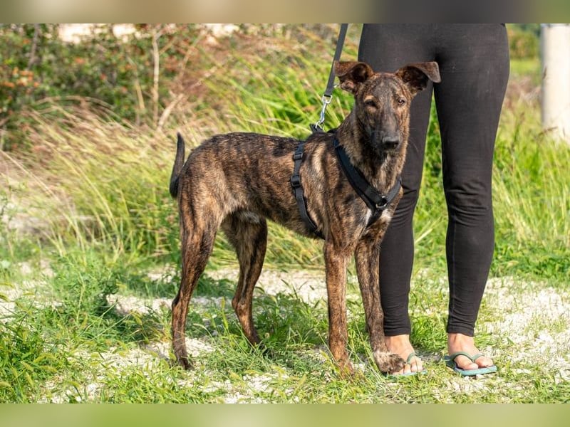 Hoku möchte dein Herz erobern