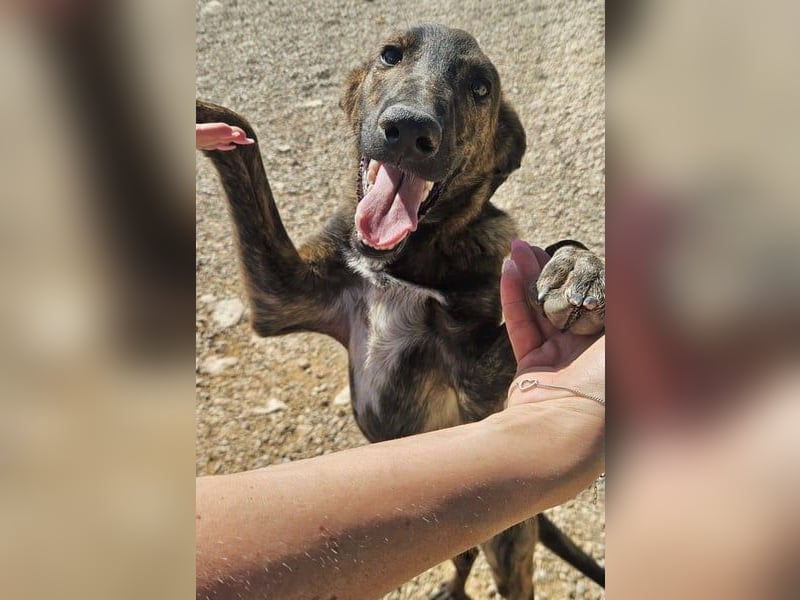 Hoku möchte dein Herz erobern