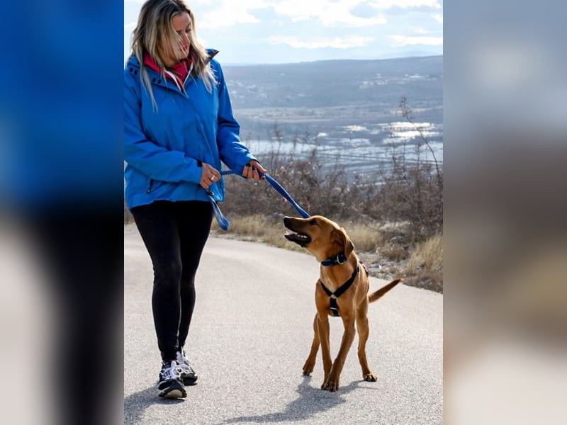 Fridtjof – ein Freund fürs Leben