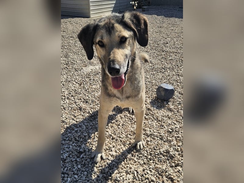 Theo sucht seine Menschen