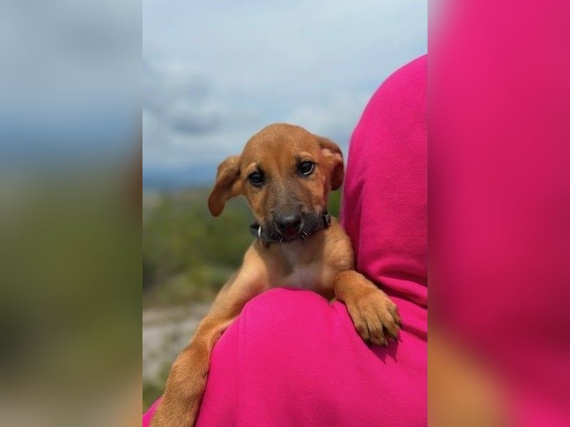 Fridtjof – ein Freund fürs Leben