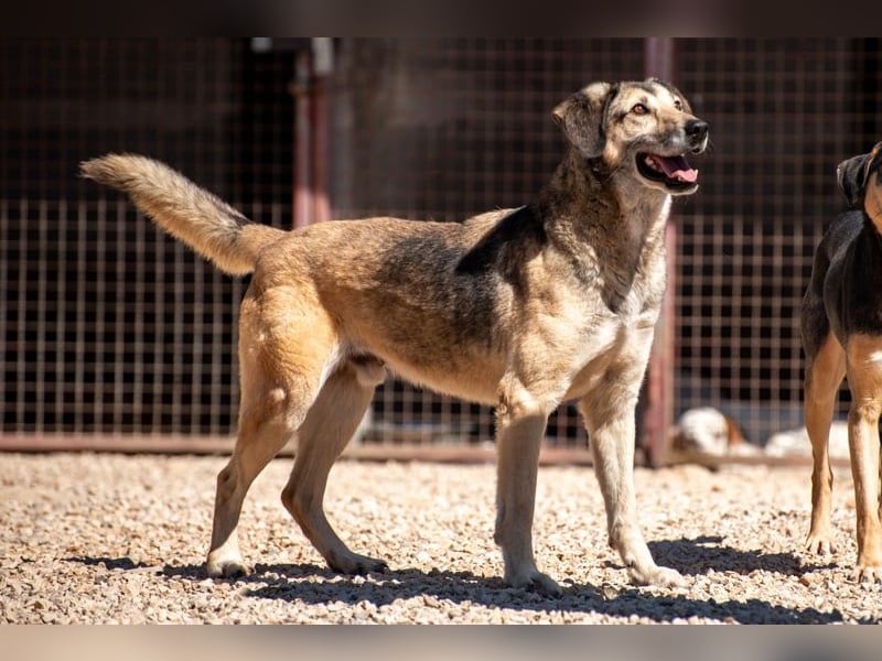 Theo sucht seine Menschen