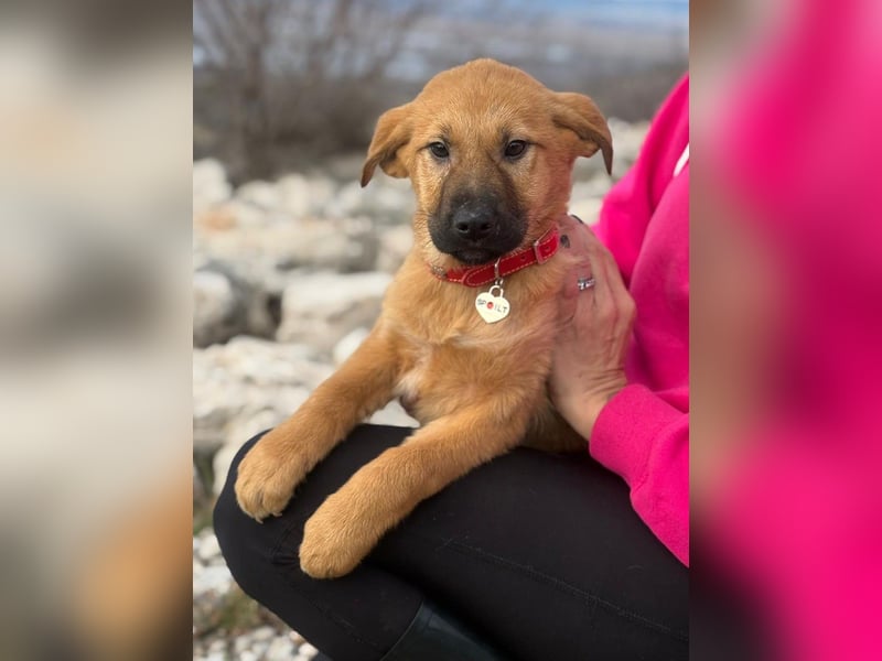 Cocco auf der Suche nach dem Glück