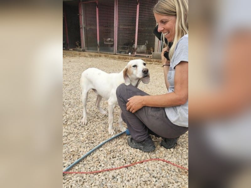 Dauergast Dino sucht Menschen mit Herz