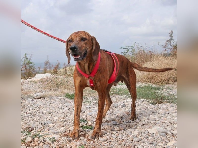 Lebensfroher Thanos sucht seinen Jackpot!