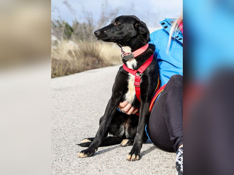 Flöckchen – eine Freundin fürs Leben