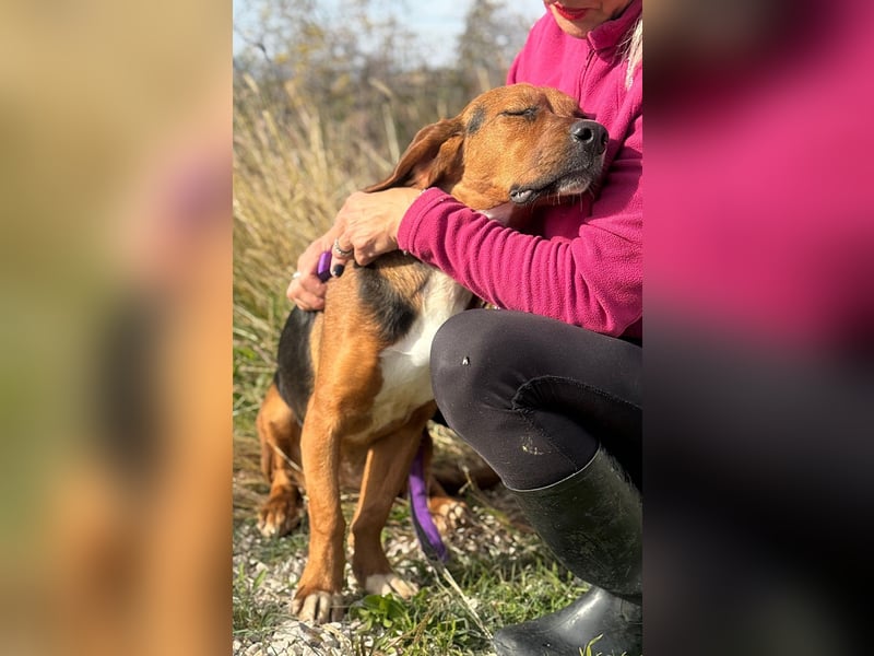 Süße Magda sucht Kuschelpartner/-in