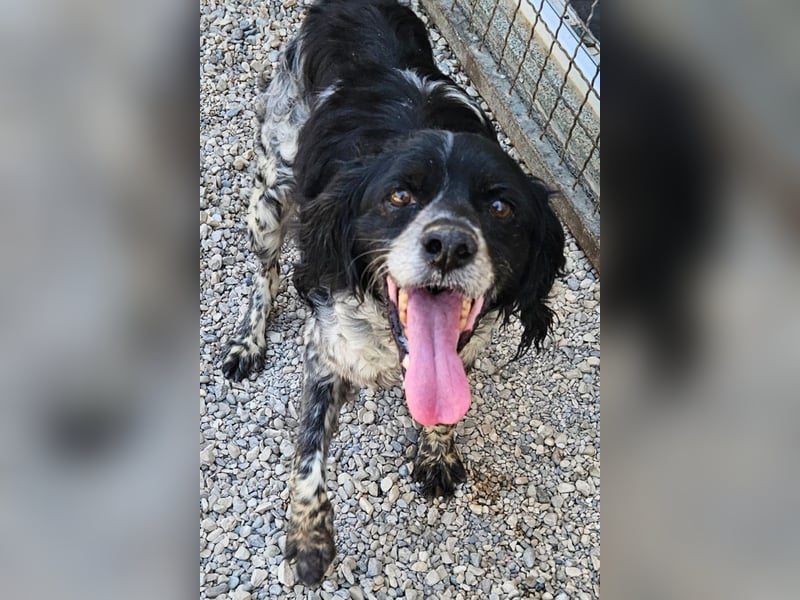 Dina sucht Partner für letzten Lebensabschnitt