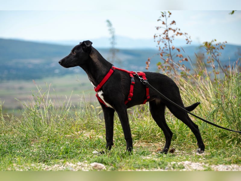 Maria – eine Freundin fürs Leben
