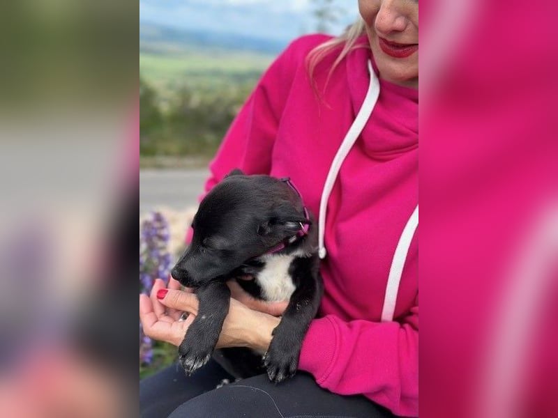 Maria – eine Freundin fürs Leben