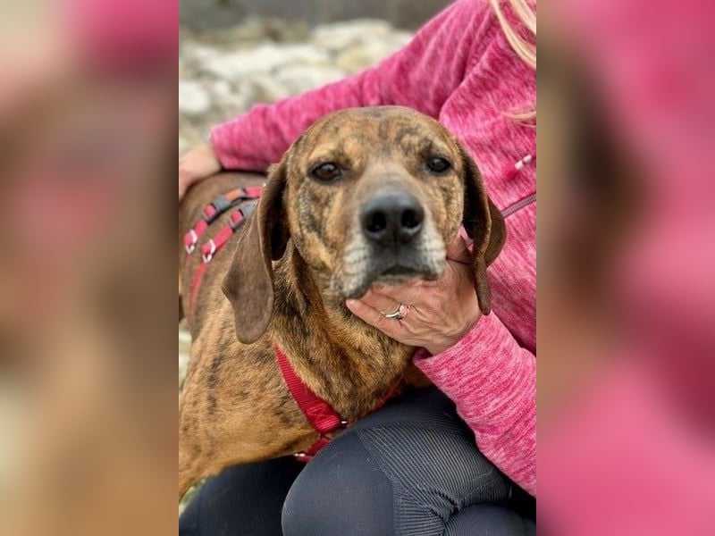 Lebensfroher Thanos sucht seinen Jackpot!