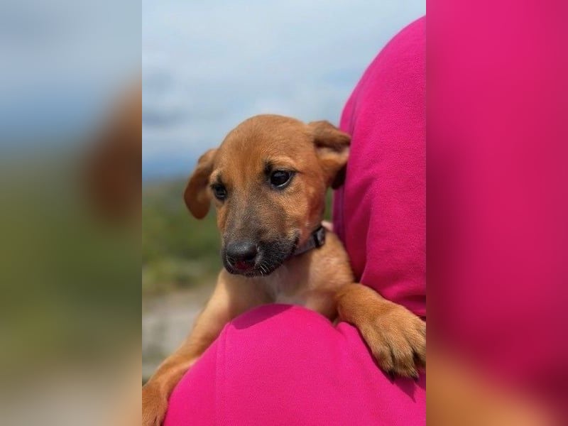 Fridtjof – ein Freund fürs Leben