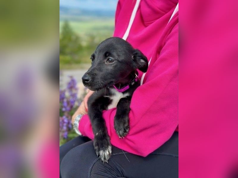 Maria – eine Freundin fürs Leben