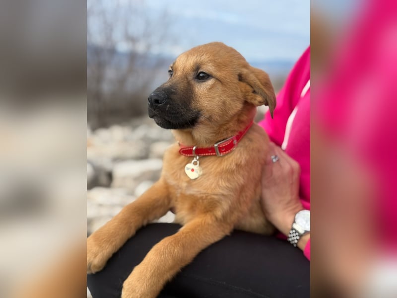 Cocco auf der Suche nach dem Glück