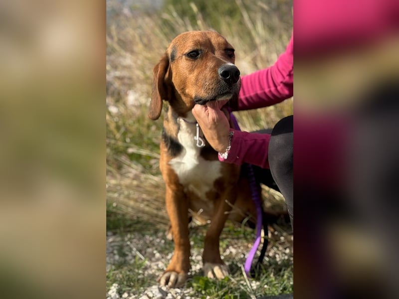 Süße Magda sucht Kuschelpartner/-in