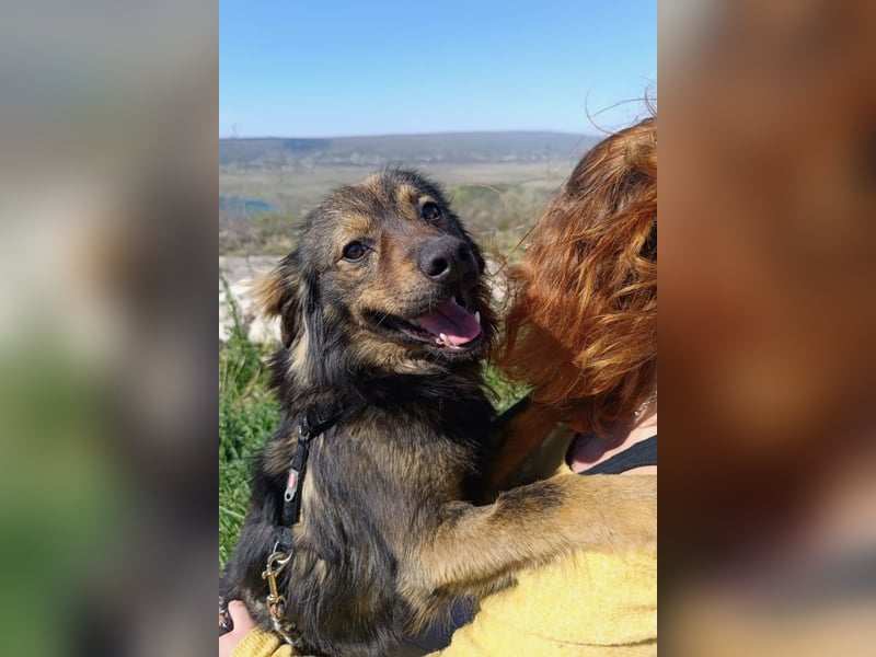 Tomtom wünscht sich viele Leckerlies