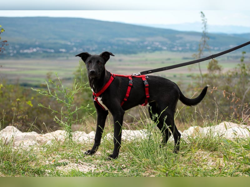 Maria – eine Freundin fürs Leben
