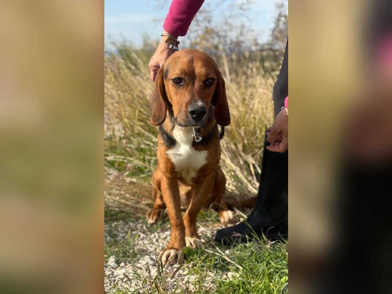 Süße Magda sucht Kuschelpartner/-in