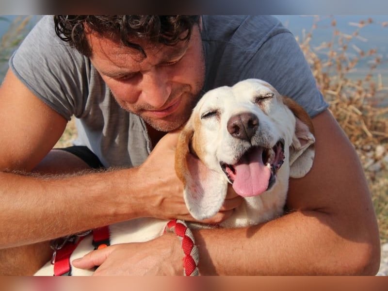 Dauergast Dino sucht Menschen mit Herz