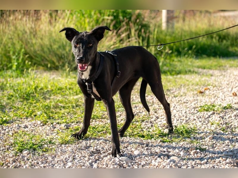 Maria – eine Freundin fürs Leben